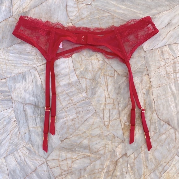 2 Pc Set  VS Medium/Large Garter + Medium Panty - Picture 9 of 12